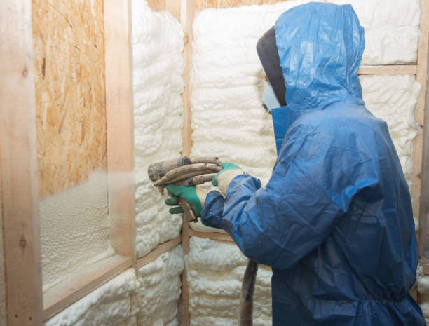 Professional Insulation in Leonville, LA